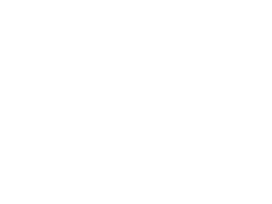 novus-viae-white-300x225